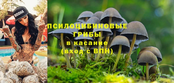 гидропоника Алексеевка