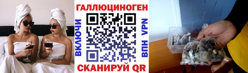 где купить   Глазов  Псилоцибиновые грибы Magic Shrooms 