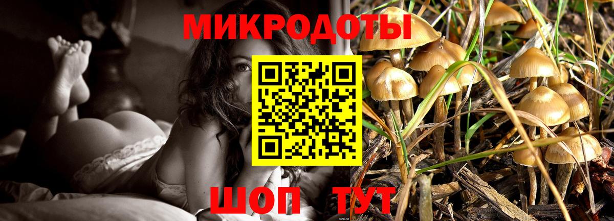 Глазов  Псилоцибиновые грибы мицелий  Вход с VPN 